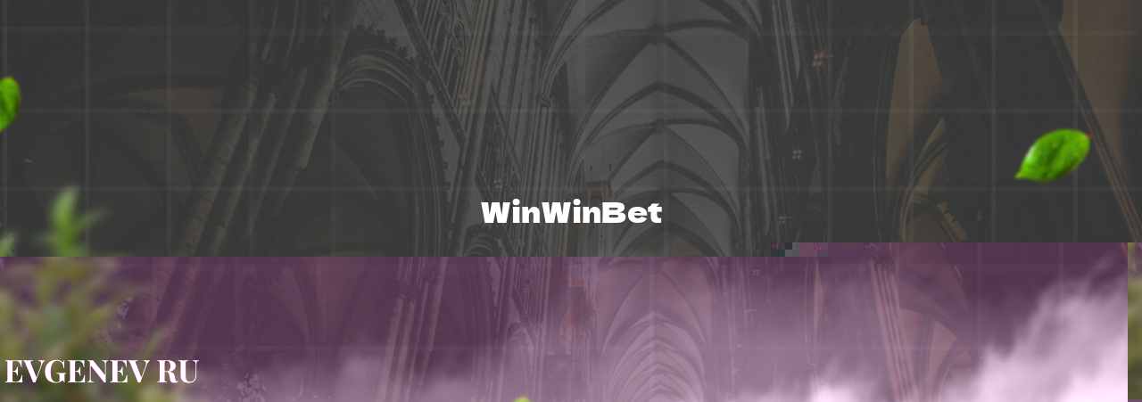 WinWinBet - узнайте о бк на сайте Evgenev.RU