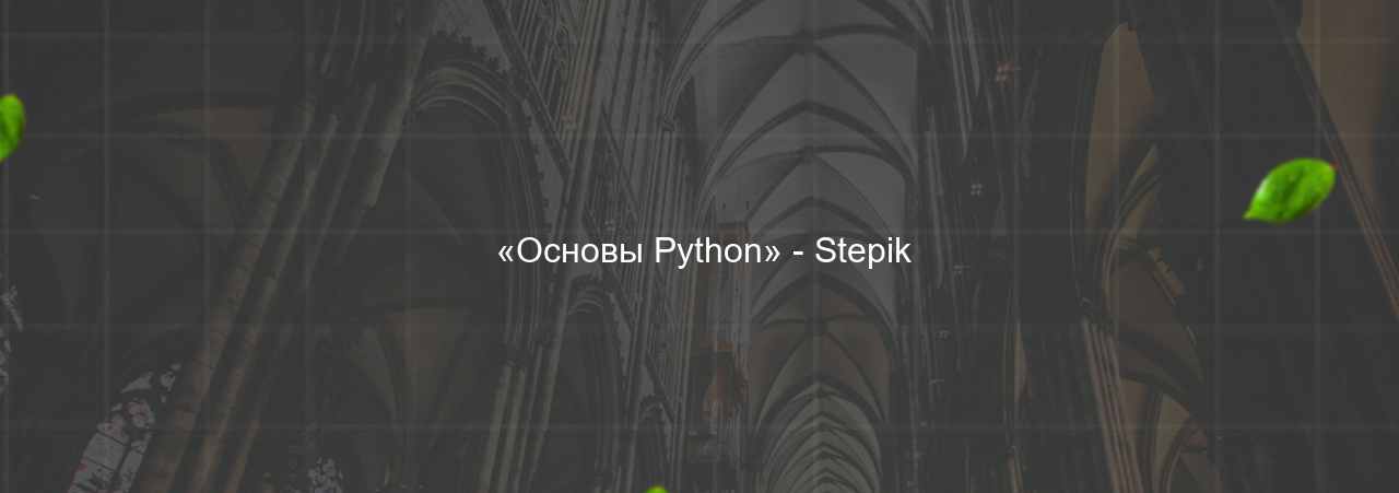  «Основы Python» - Stepik на сайте Evgenev.RU