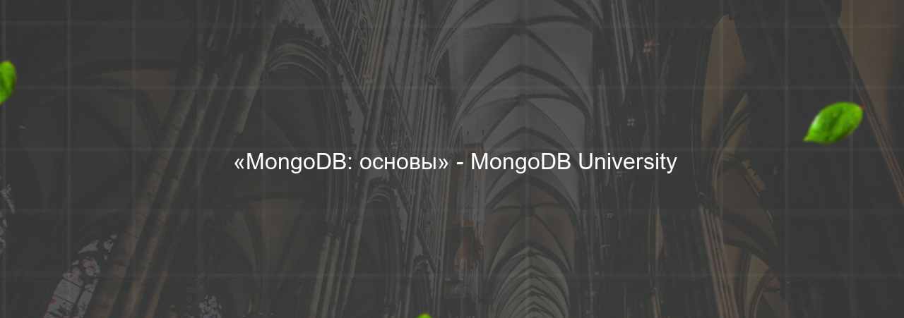  «MongoDB: основы» - MongoDB University на сайте Evgenev.RU