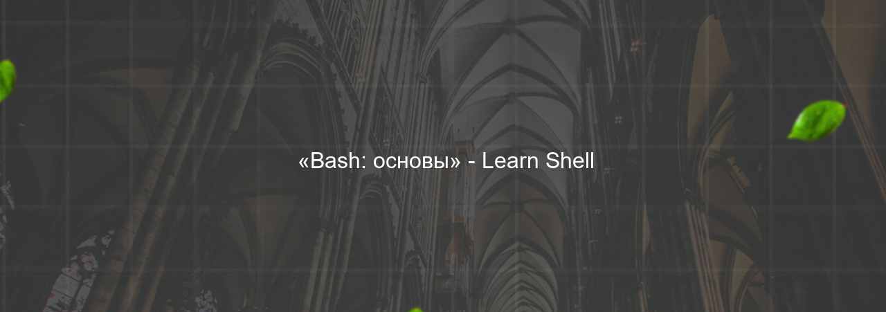  «Bash: основы» - Learn Shell на сайте Evgenev.RU