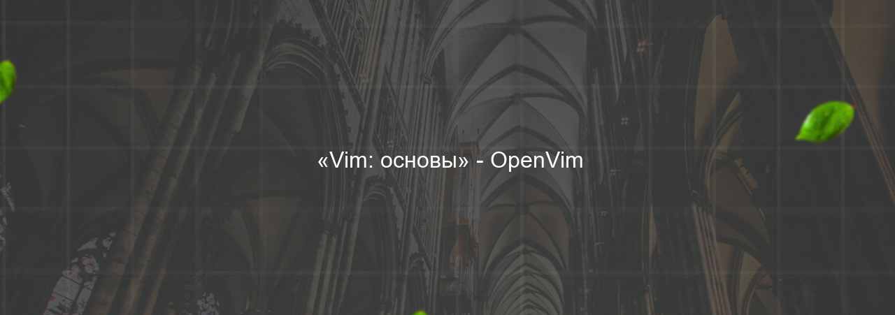  «Vim: основы» - OpenVim на сайте Evgenev.RU