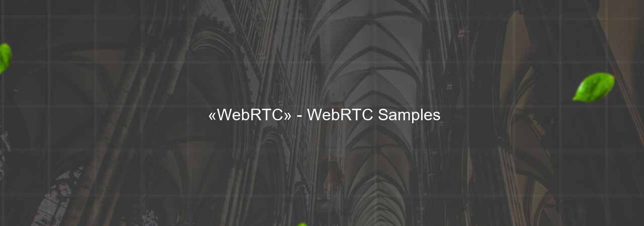  «WebRTC» - WebRTC Samples на сайте Evgenev.RU