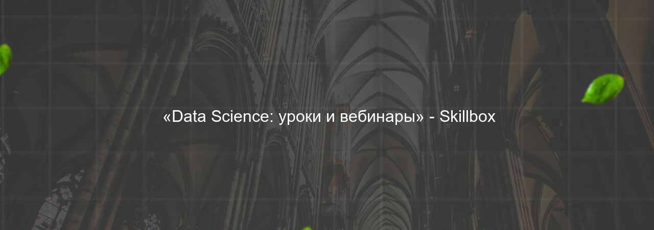  «Data Science: уроки и вебинары» - Skillbox на сайте Evgenev.RU