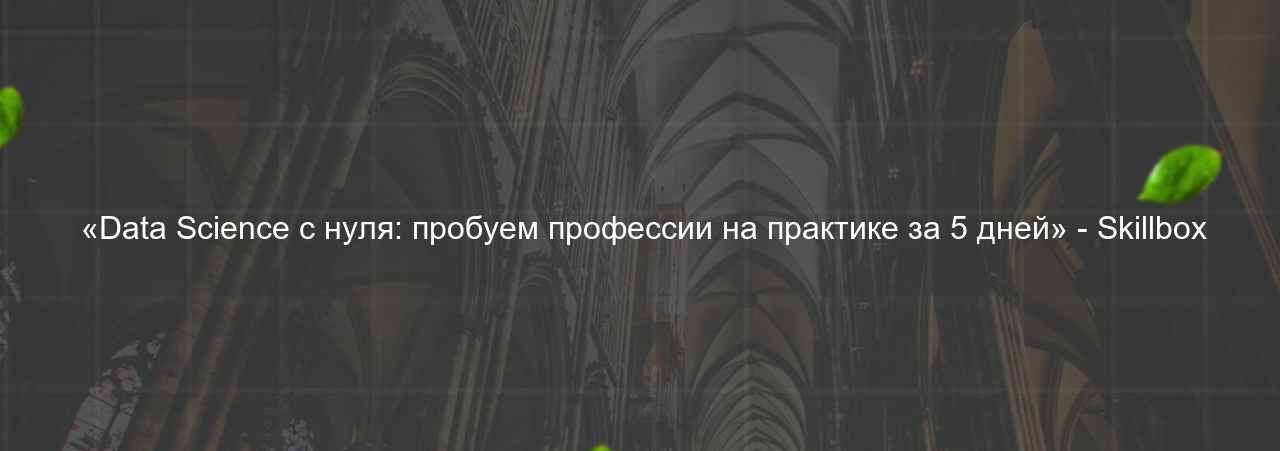  «Data Science с нуля: пробуем профессии на практике за 5 дней» - Skillbox на сайте Evgenev.RU