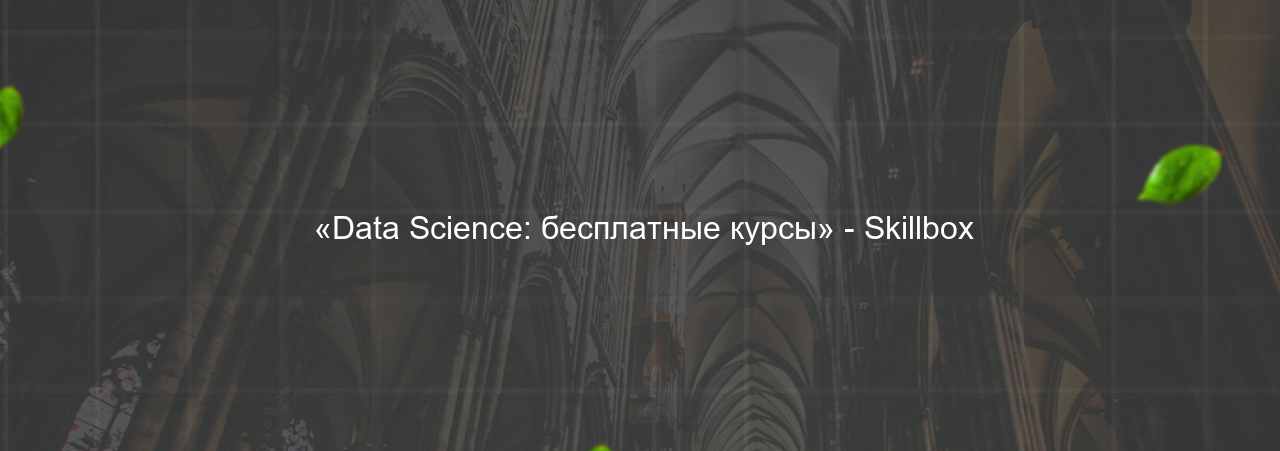  «Data Science: бесплатные курсы» - Skillbox на сайте Evgenev.RU