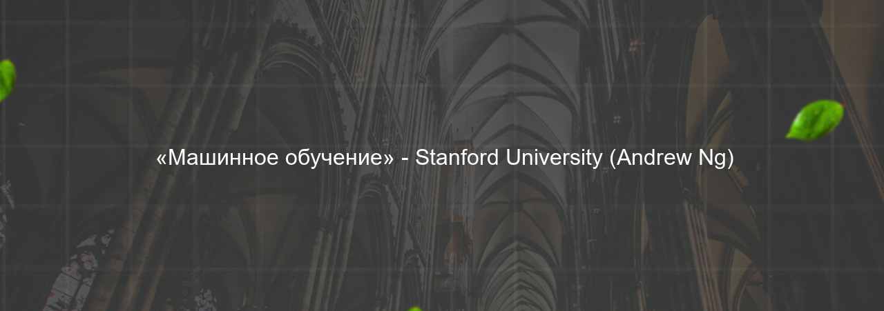  «Машинное обучение» - Stanford University (Andrew Ng) на сайте Evgenev.RU