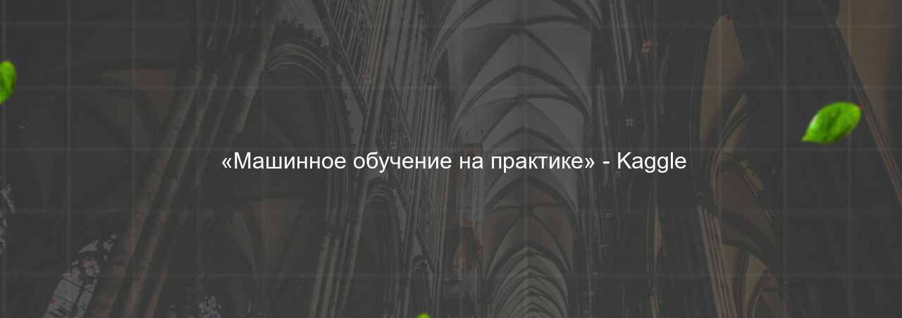  «Машинное обучение на практике» - Kaggle на сайте Evgenev.RU