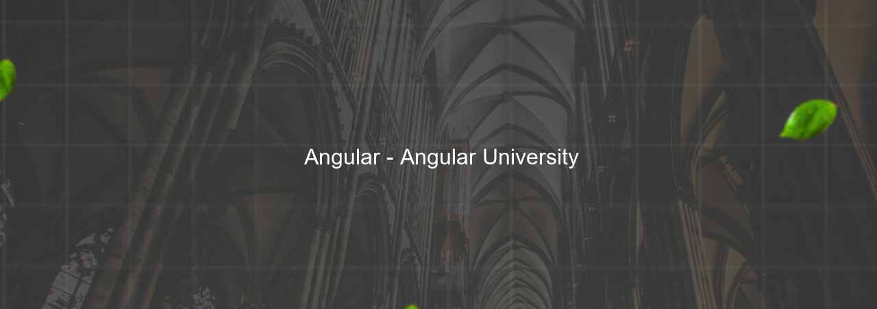  Angular - Angular University на сайте Evgenev.RU