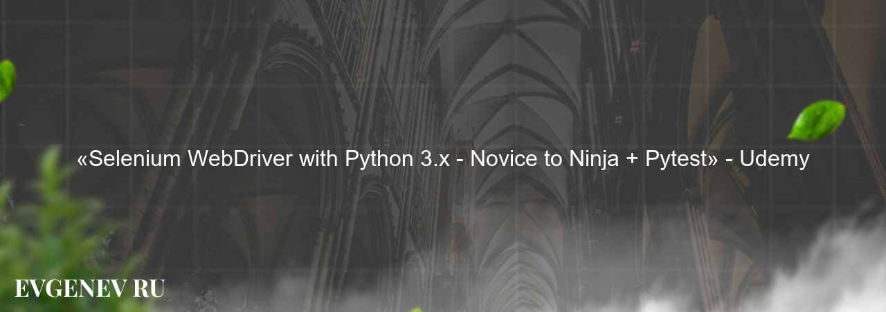 «Selenium WebDriver with Python 3.x - Novice to Ninja + Pytest» - Udemy - узнайте о онлайн-школе или профессии на сайте Evgenev.RU