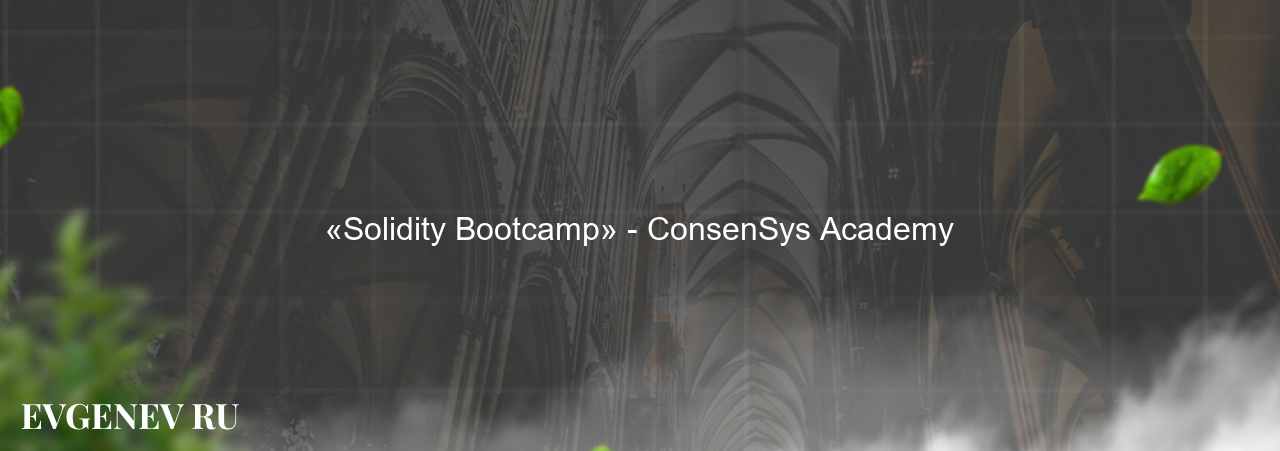 «Solidity Bootcamp» - ConsenSys Academy - узнайте о онлайн-школе или профессии на сайте Evgenev.RU