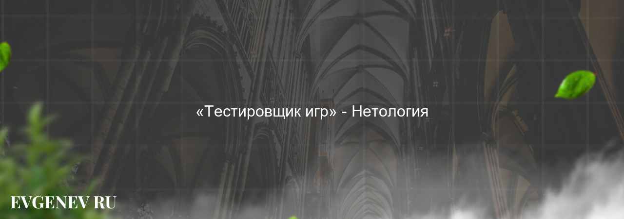 «Тестировщик игр» - Нетология - узнайте о онлайн-школе или профессии на сайте Evgenev.RU