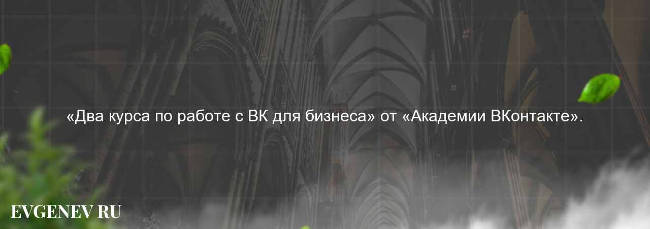 «Два курса по работе с ВК для бизнеса» от «Академии ВКонтакте». - узнайте о онлайн-школе или профессии на сайте Evgenev.RU