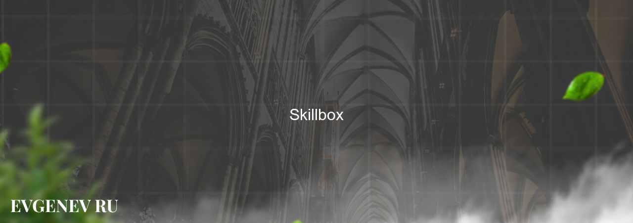 Skillbox - узнайте о онлайн-школе или профессии на сайте Evgenev.RU