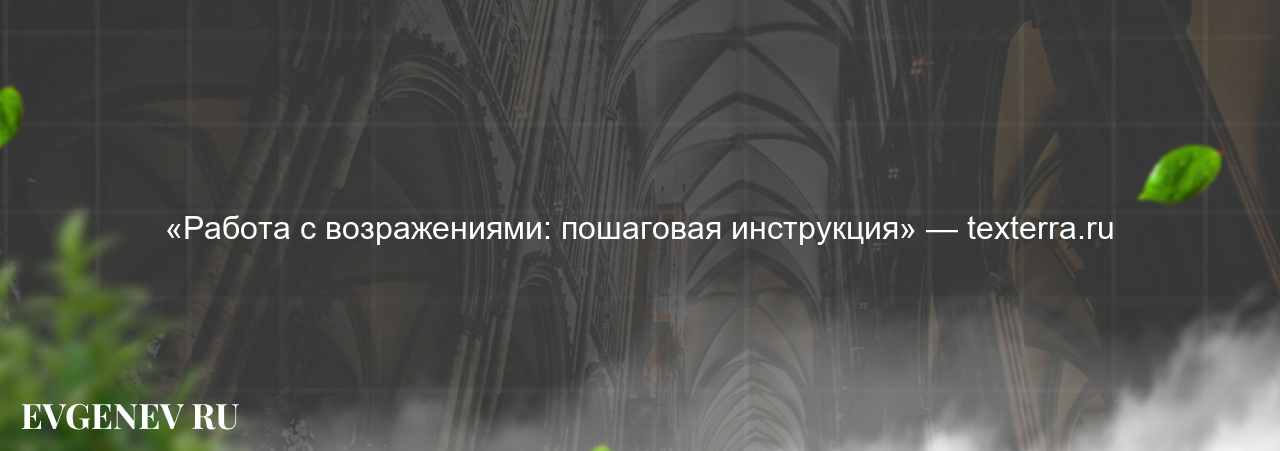 «Работа с возражениями: пошаговая инструкция» — texterra.ru - узнайте о онлайн-школе или профессии на сайте Evgenev.RU