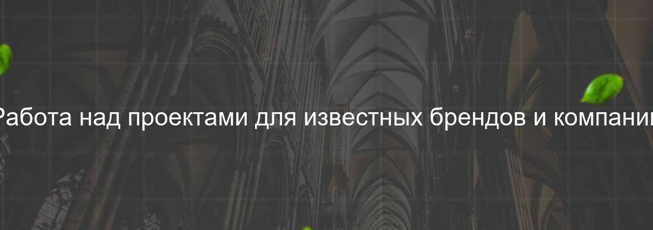 Работа над проектами для известных брендов и компаний на сайте Evgenev.RU