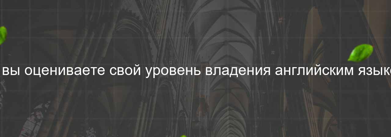 Как вы оцениваете свой уровень владения английским языком? на сайте Evgenev.RU