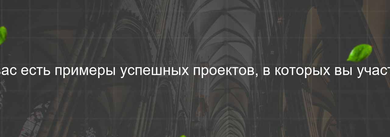 Какие у вас есть примеры успешных проектов, в которых вы участвовали? на сайте Evgenev.RU