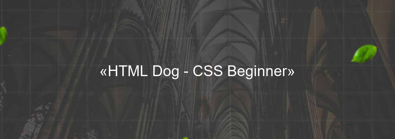 «HTML Dog - CSS Beginner» на сайте Evgenev.RU