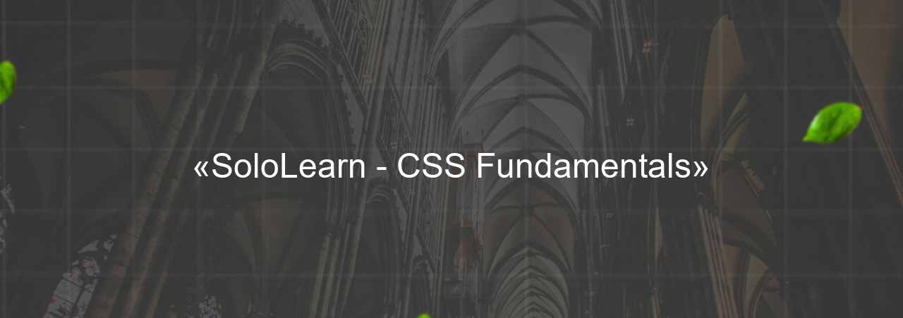 «SoloLearn - CSS Fundamentals» на сайте Evgenev.RU