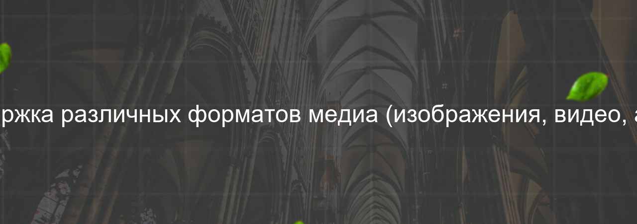 Поддержка различных форматов медиа (изображения, видео, аудио) на сайте Evgenev.RU