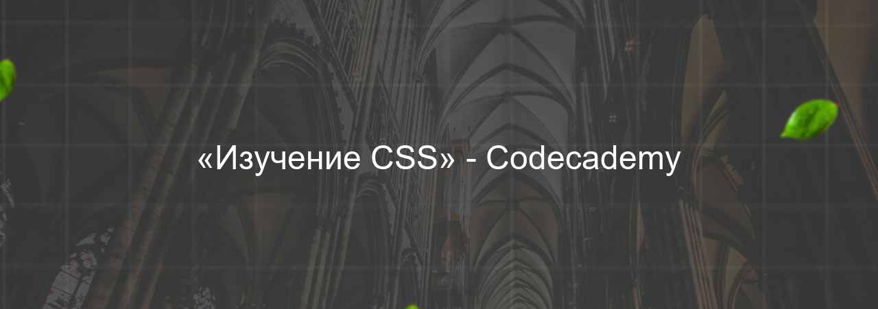 «Изучение CSS» - Codecademy на сайте Evgenev.RU