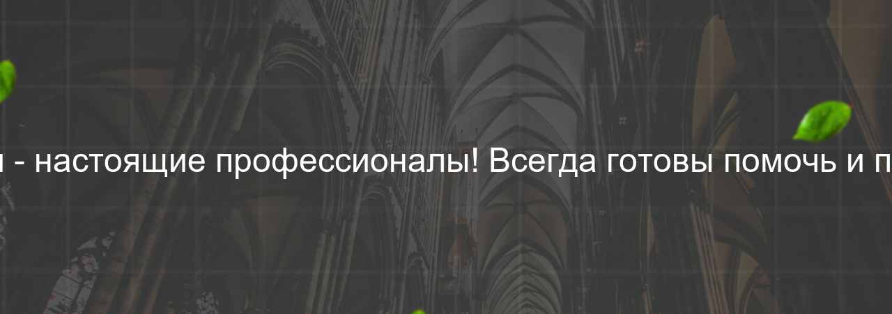 Наставники - настоящие профессионалы! Всегда готовы помочь и поддержать. на сайте Evgenev.RU