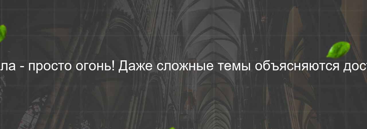 Подача материала - просто огонь! Даже сложные темы объясняются доступно и понятно. на сайте Evgenev.RU