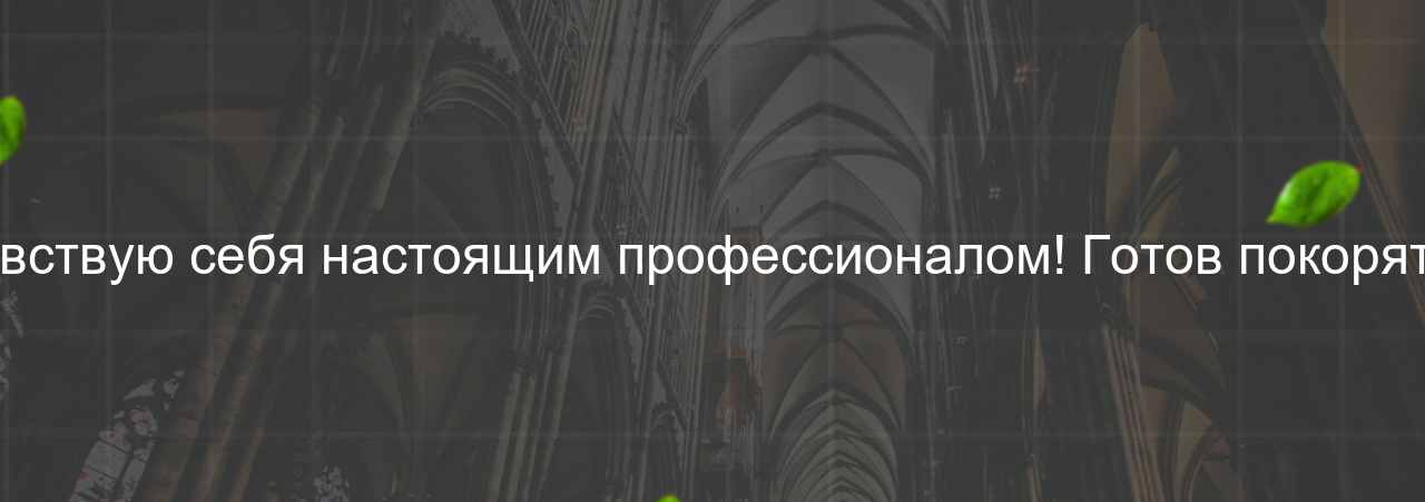 После этого курса я чувствую себя настоящим профессионалом! Готов покорять мир веб-разработки. на сайте Evgenev.RU