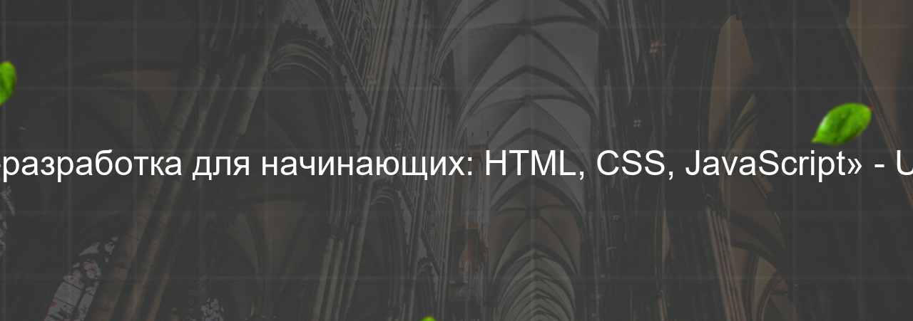 «Веб-разработка для начинающих: HTML, CSS, JavaScript» - Udemy на сайте Evgenev.RU