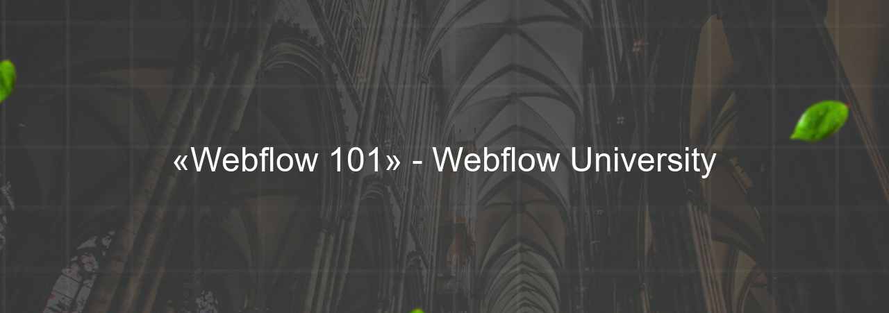 «Webflow 101» - Webflow University на сайте Evgenev.RU