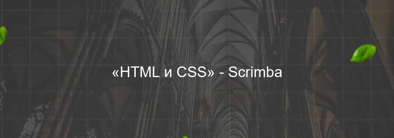 «HTML и CSS» - Scrimba на сайте Evgenev.RU