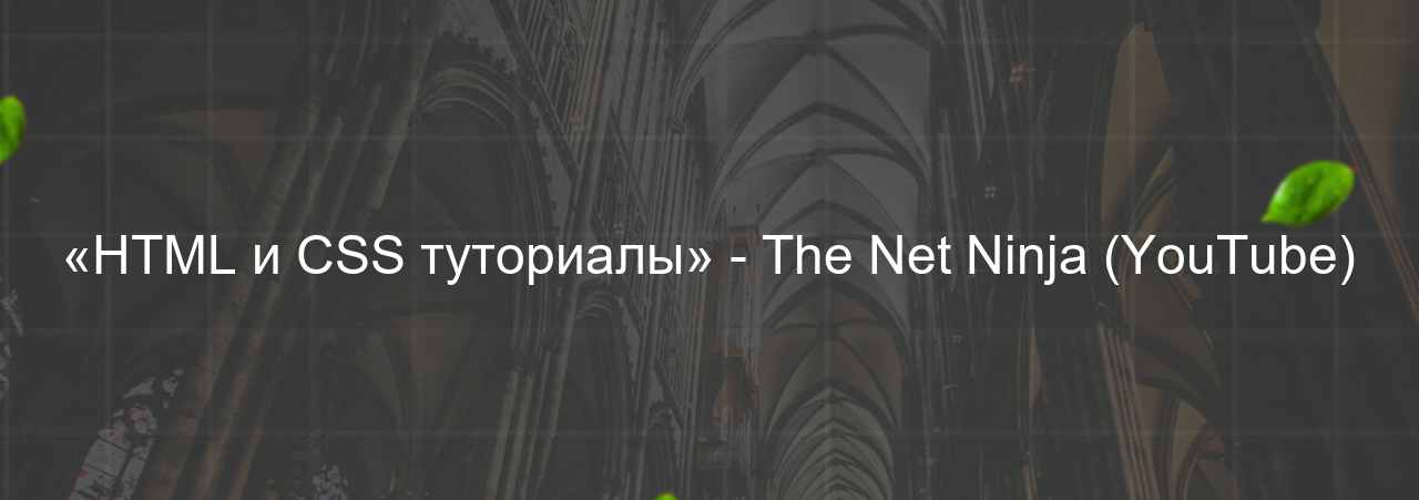 «HTML и CSS туториалы» - The Net Ninja (YouTube) на сайте Evgenev.RU