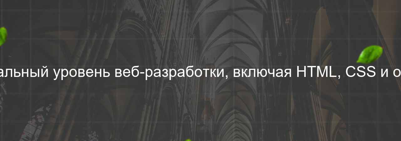 Junior Web-разработчик: начальный уровень веб-разработки, включая HTML, CSS и основы JavaScript, 35 000 руб. на сайте Evgenev.RU