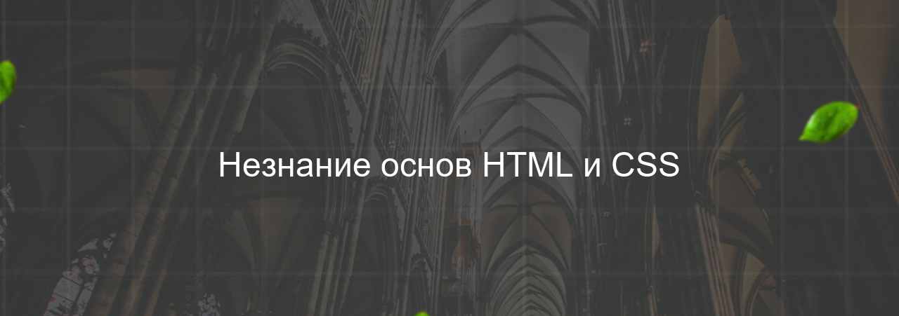 Незнание основ HTML и CSS на сайте Evgenev.RU