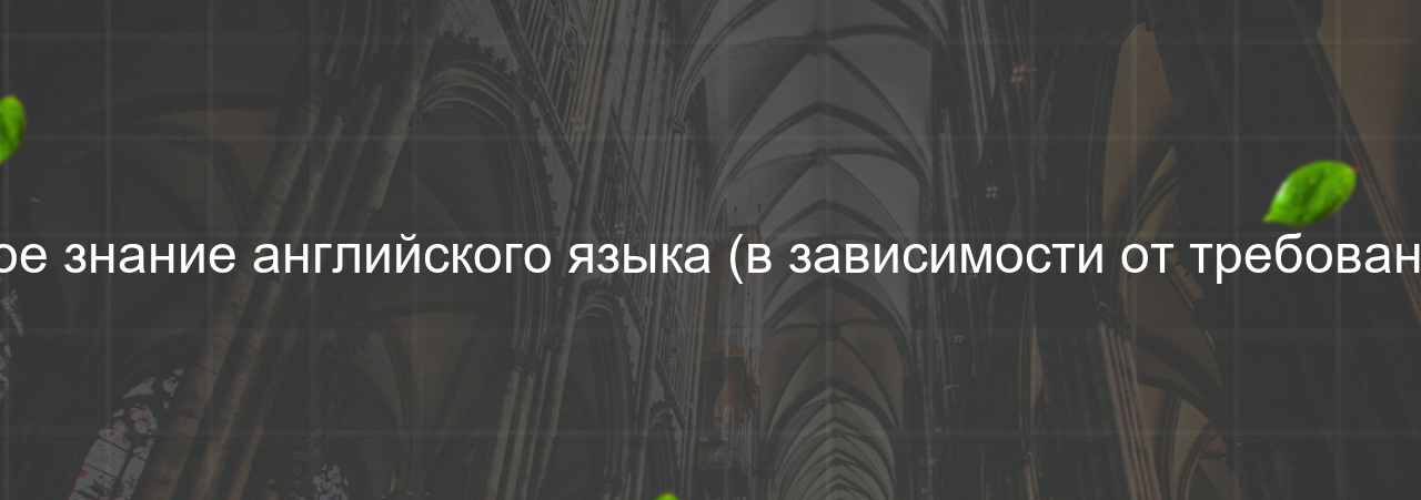 Недостаточное знание английского языка (в зависимости от требований компании) на сайте Evgenev.RU