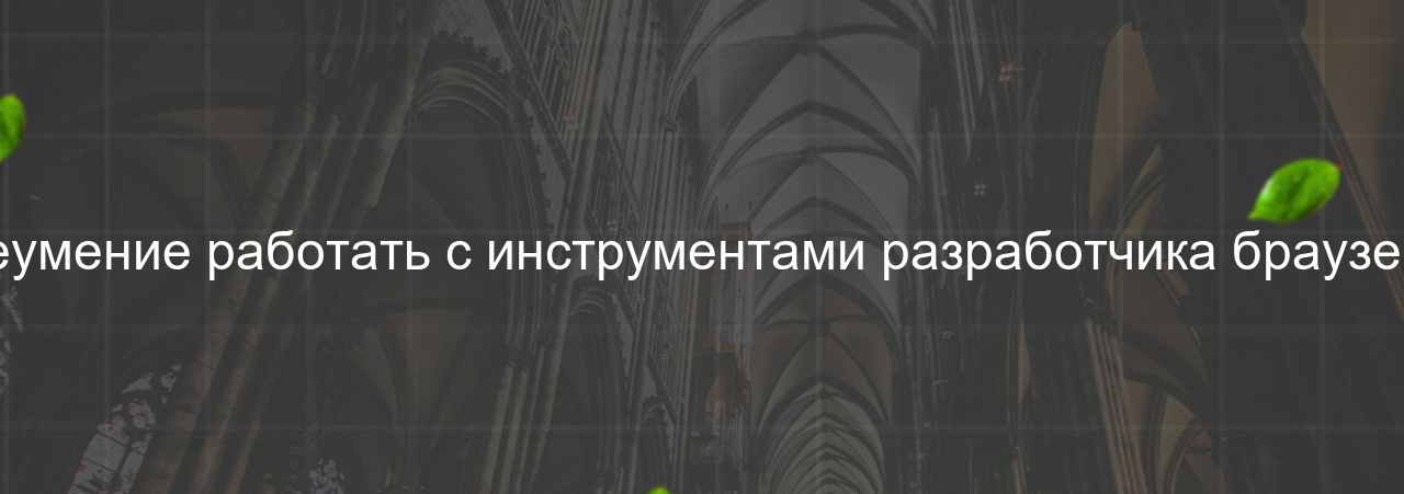 Неумение работать с инструментами разработчика браузера на сайте Evgenev.RU