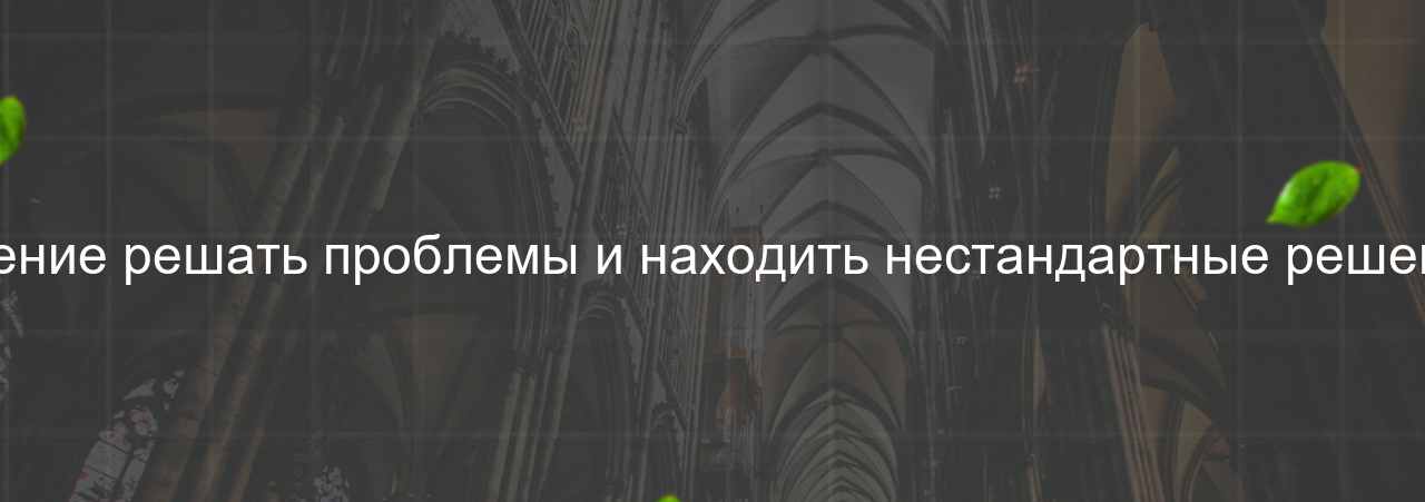 Умение решать проблемы и находить нестандартные решения на сайте Evgenev.RU