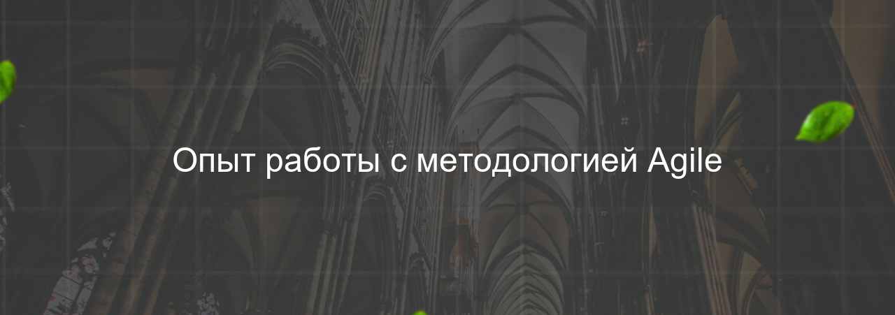 Опыт работы с методологией Agile на сайте Evgenev.RU