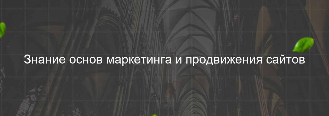 Знание основ маркетинга и продвижения сайтов на сайте Evgenev.RU