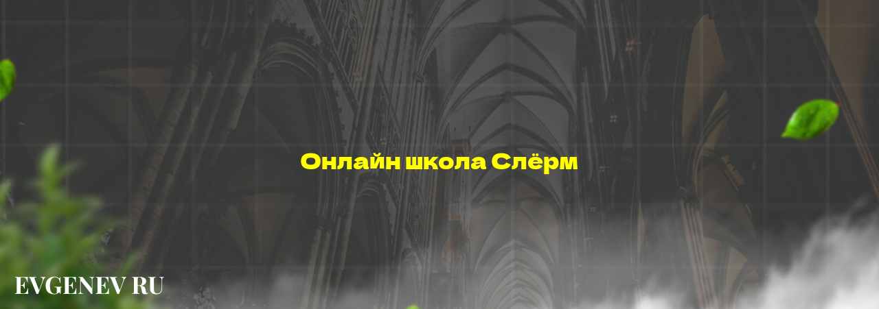 Онлайн школа Слёрм - узнайте о онлайн-школе или профессии на сайте Evgenev.RU