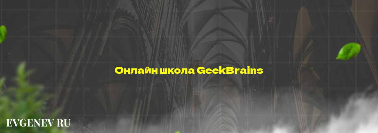 Онлайн школа GeekBrains - узнайте о онлайн-школе или профессии на сайте Evgenev.RU