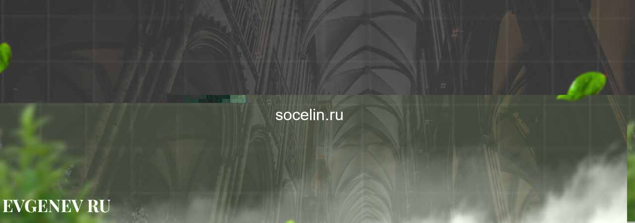 socelin.ru - узнайте о накрутке соц сетей на сайте Evgenev.RU