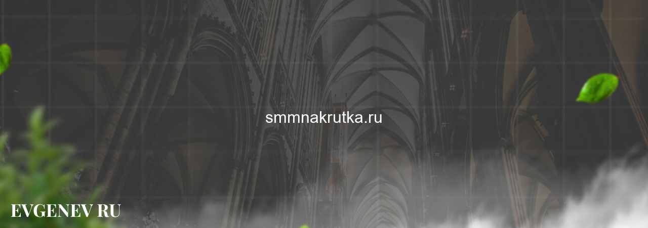 smmnakrutka.ru - узнайте о накрутке соц сетей на сайте Evgenev.RU