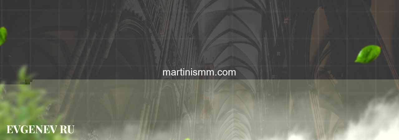 martinismm.com - узнайте о накрутке соц сетей на сайте Evgenev.RU