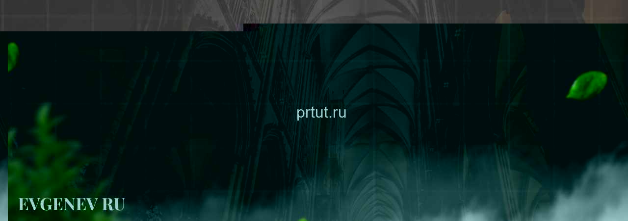 prtut.ru - узнайте о накрутке соц сетей на сайте Evgenev.RU