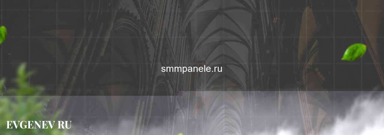 smmpanele.ru - узнайте о накрутке соц сетей на сайте Evgenev.RU