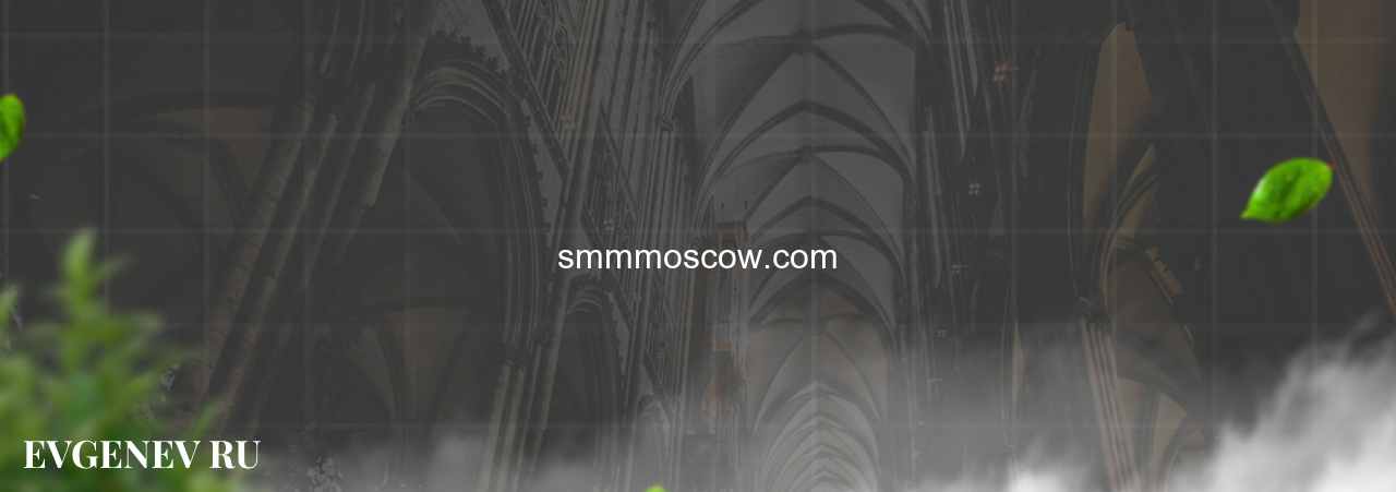 smmmoscow.com - узнайте о накрутке соц сетей на сайте Evgenev.RU