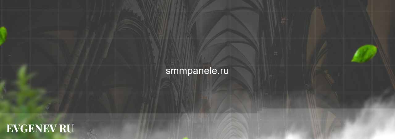 smmpanele.ru - узнайте о накрутке соц сетей на сайте Evgenev.RU