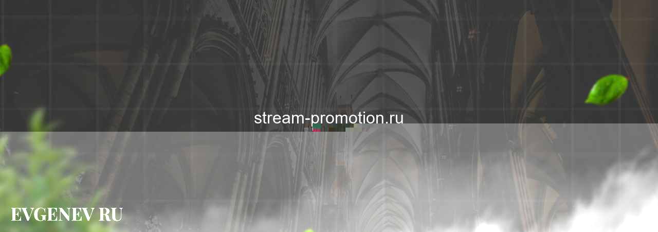 stream-promotion.ru - узнайте о накрутке соц сетей на сайте Evgenev.RU