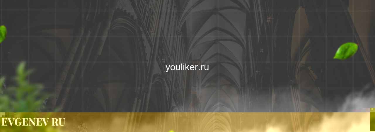 youliker.ru - узнайте о накрутке соц сетей на сайте Evgenev.RU